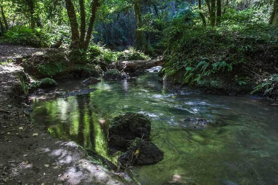 Agriturismo Villa Amerina Corchiano Eksteriør bilde